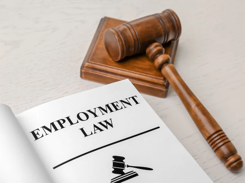 What is Employment Law
